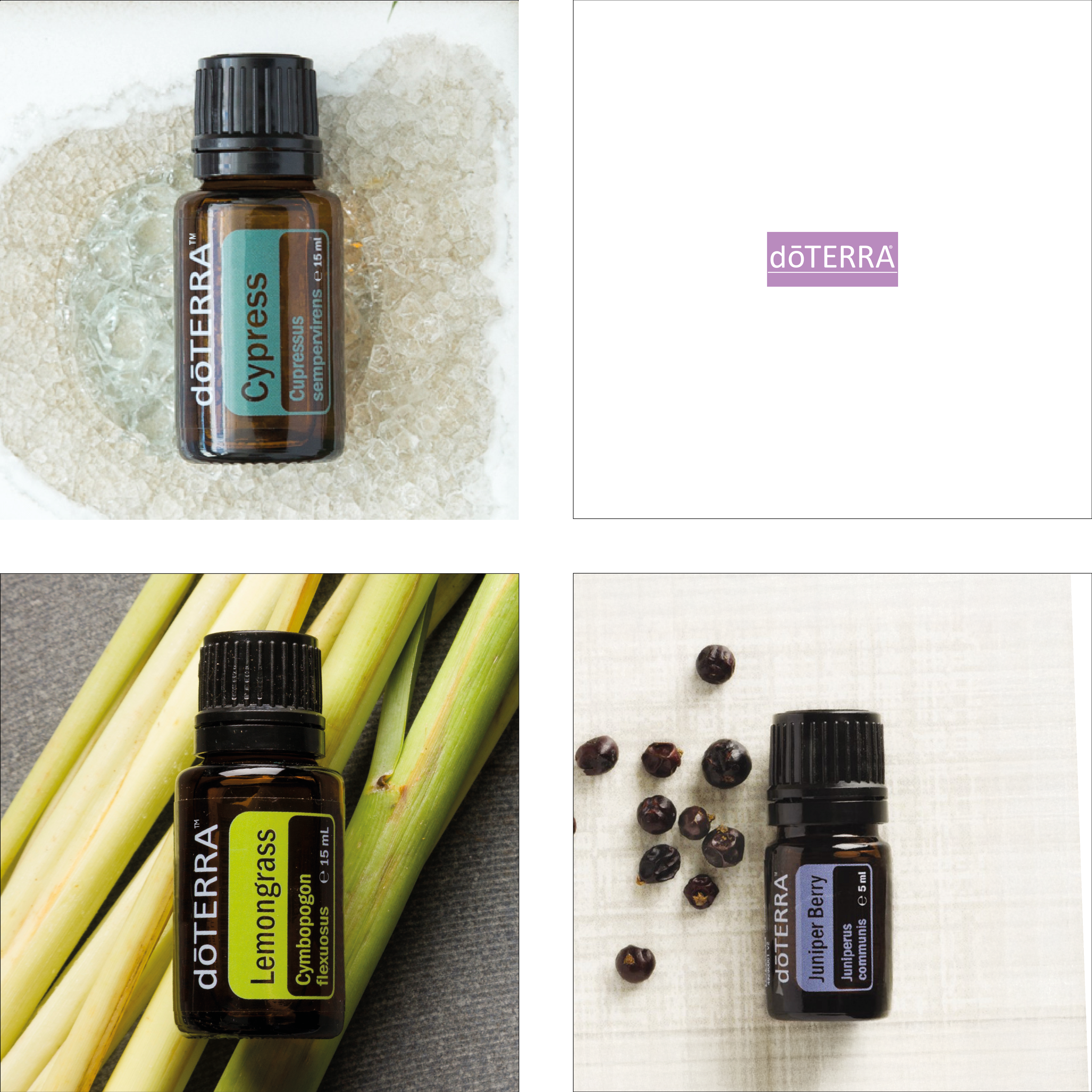 EDELSTEIN-HARMONIE - INFLUSSKOMMEN