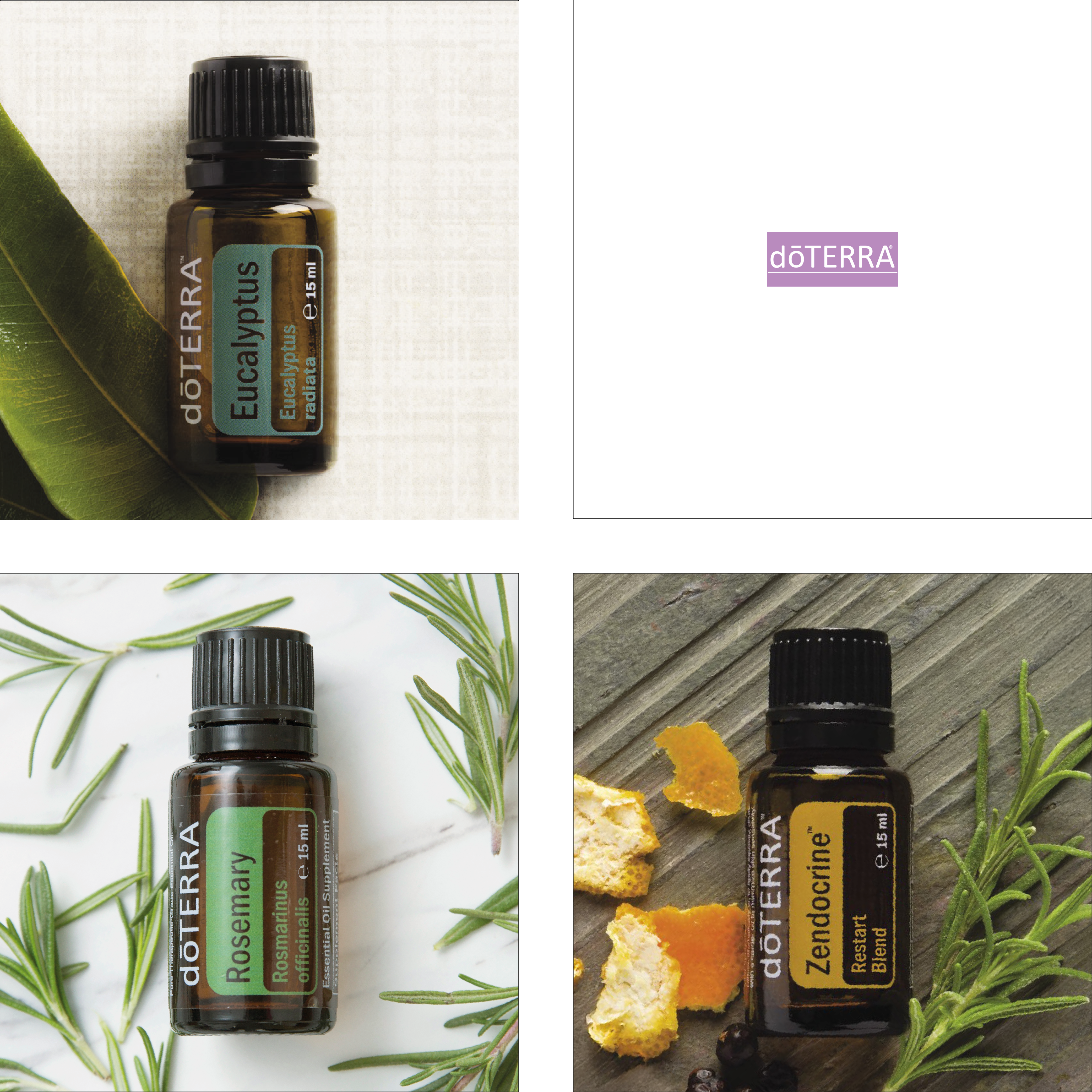 EDELSTEIN-HARMONIE - REGENERATION