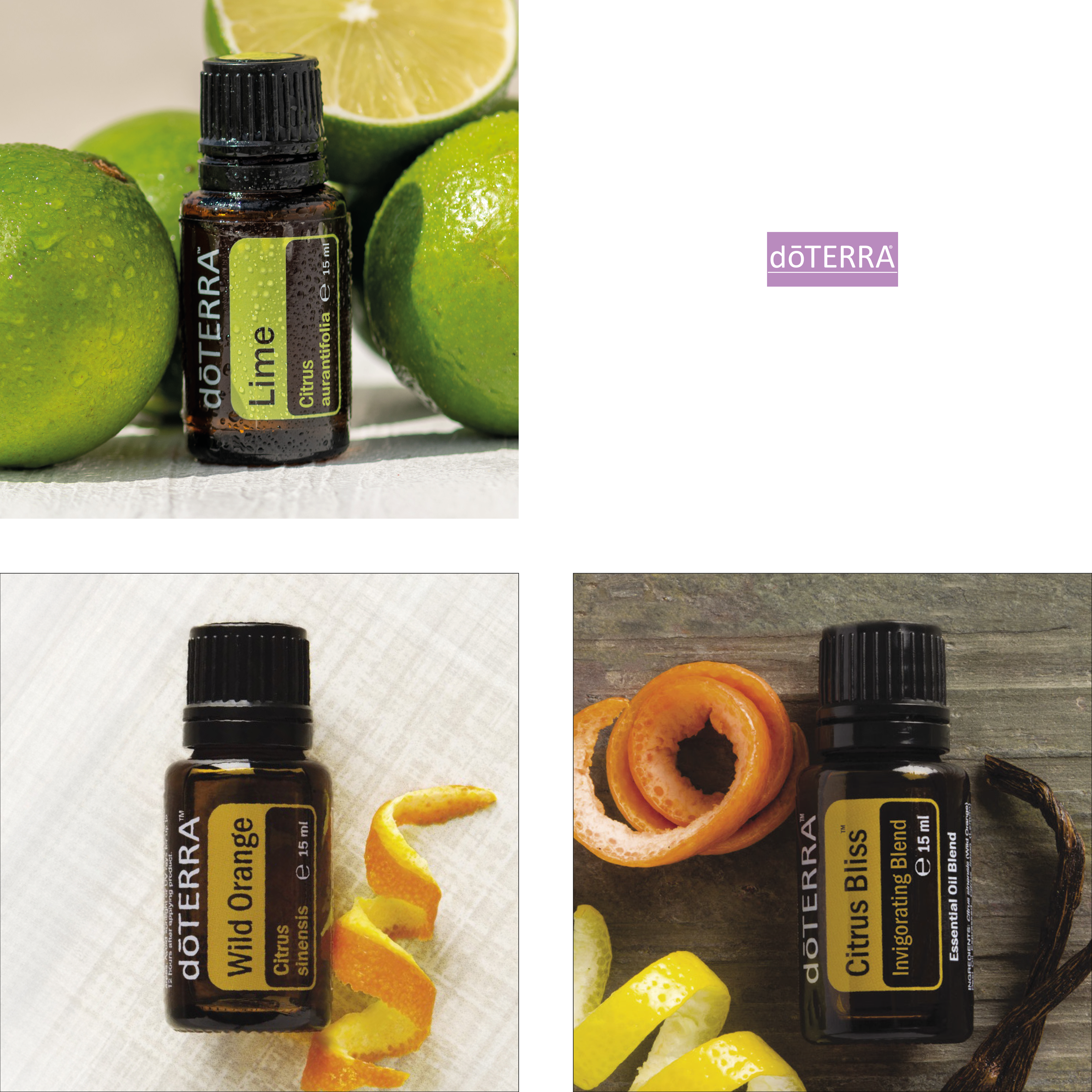 EDELSTEIN-HARMONIE - LEBENSFREUDE