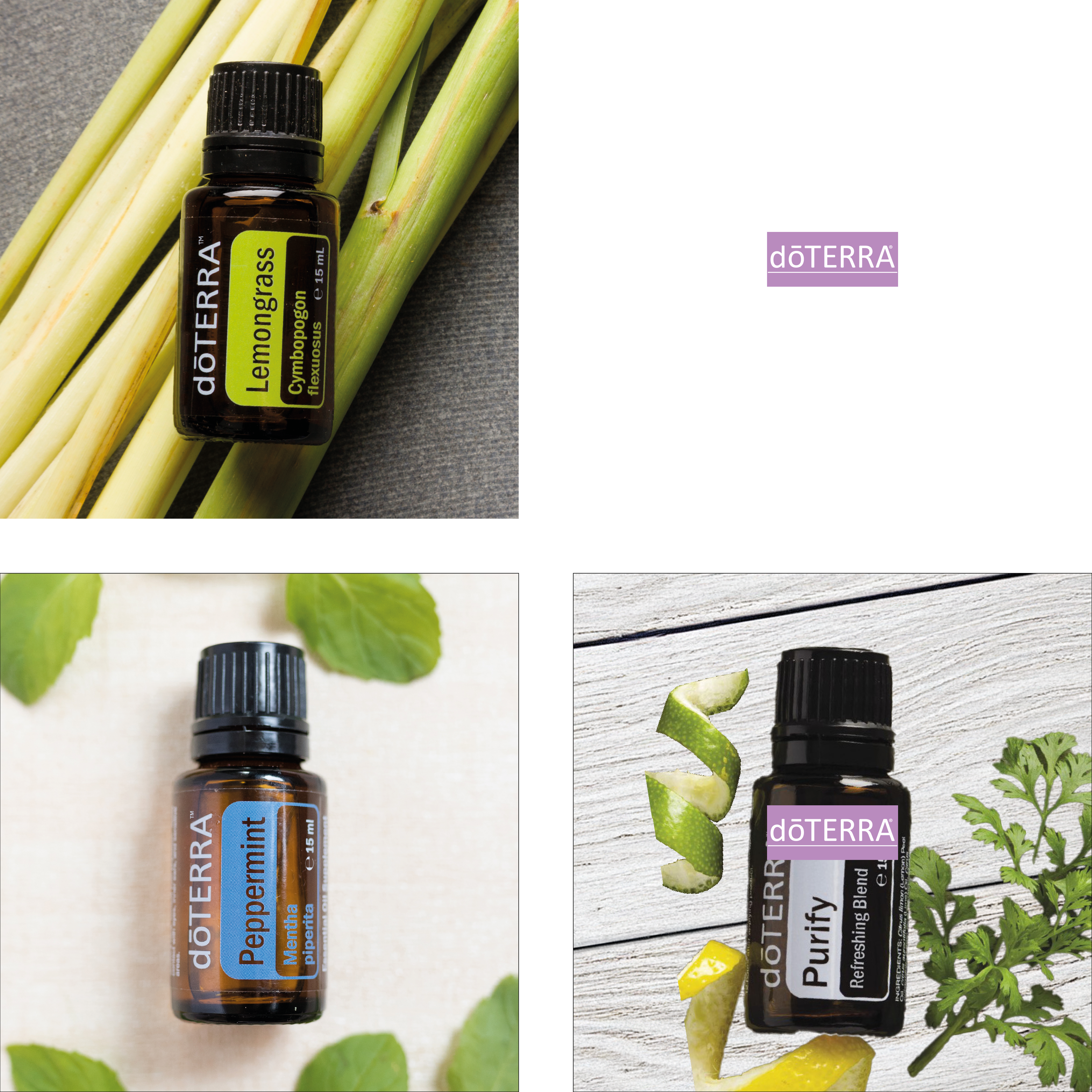 01 RAUHNACHT (24.12.) - RÜCKBLICK AUFS VERGANGENE JAHR