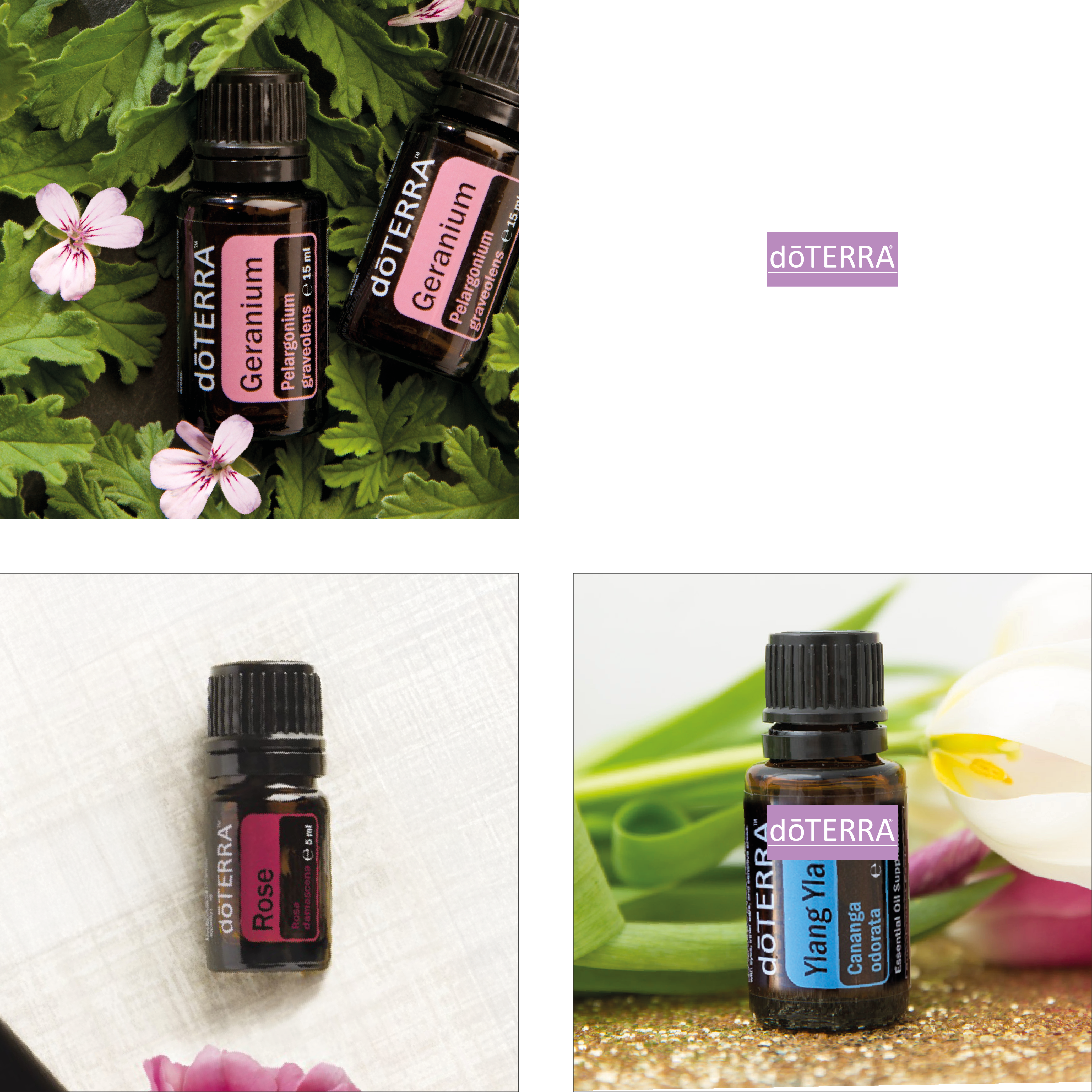 03 RAUHNACHT (26.12.) - FAMILIE & WURZELN