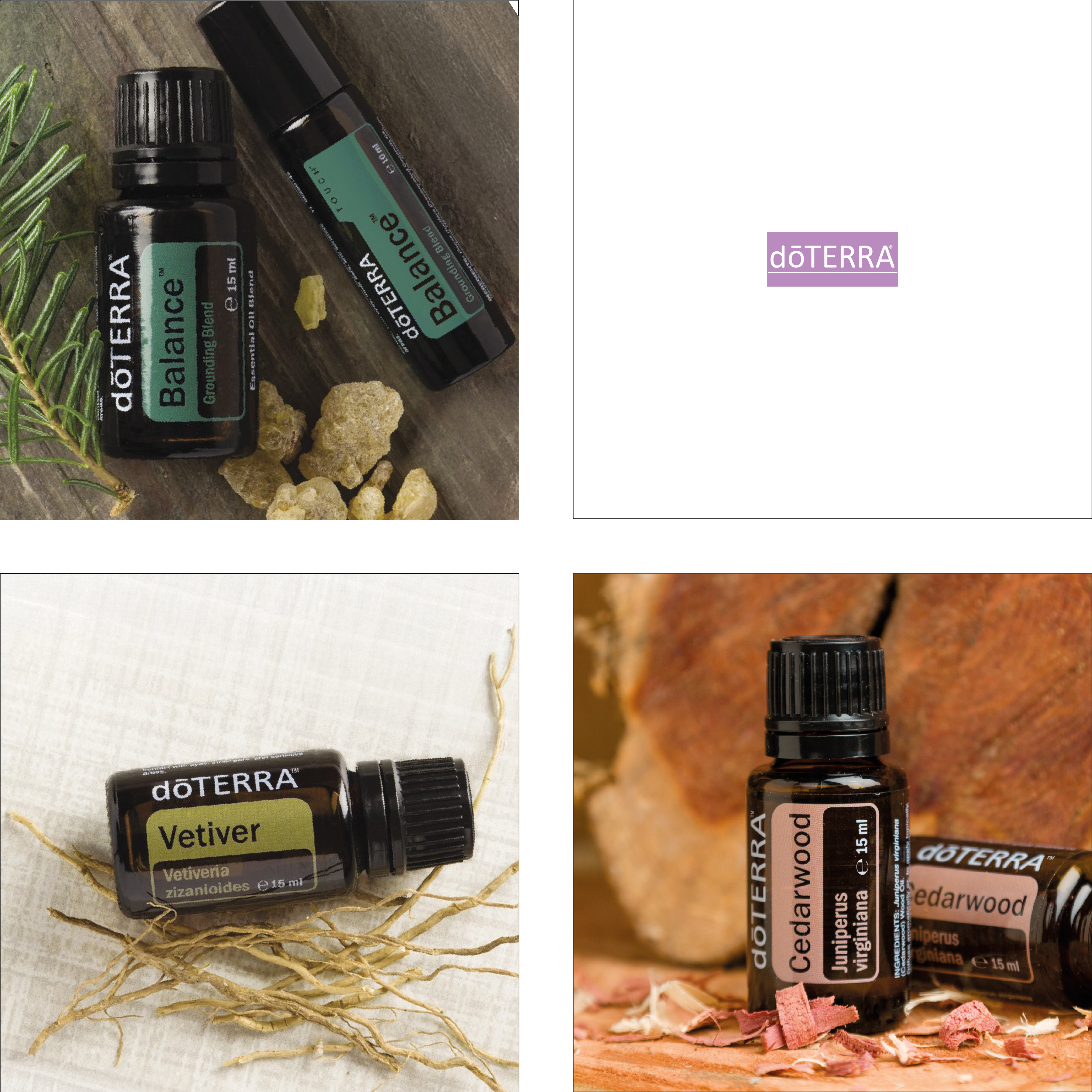 12 RAUHNACHT (04.01.) SCHUTZ & VORBEREITUNG AUFS JAHR