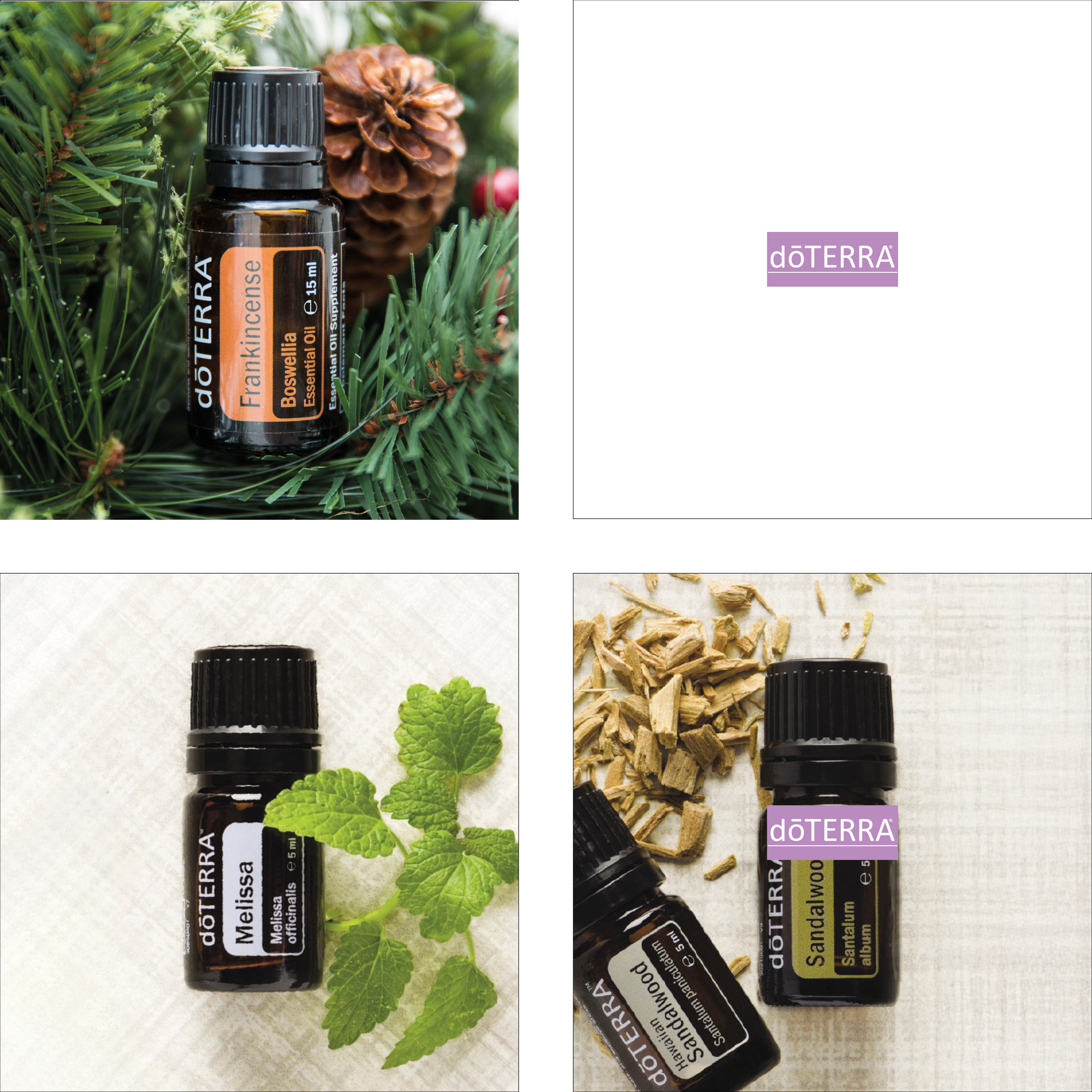 05 RAUHNACHT (28.12.) TRÄUME & INTUITION