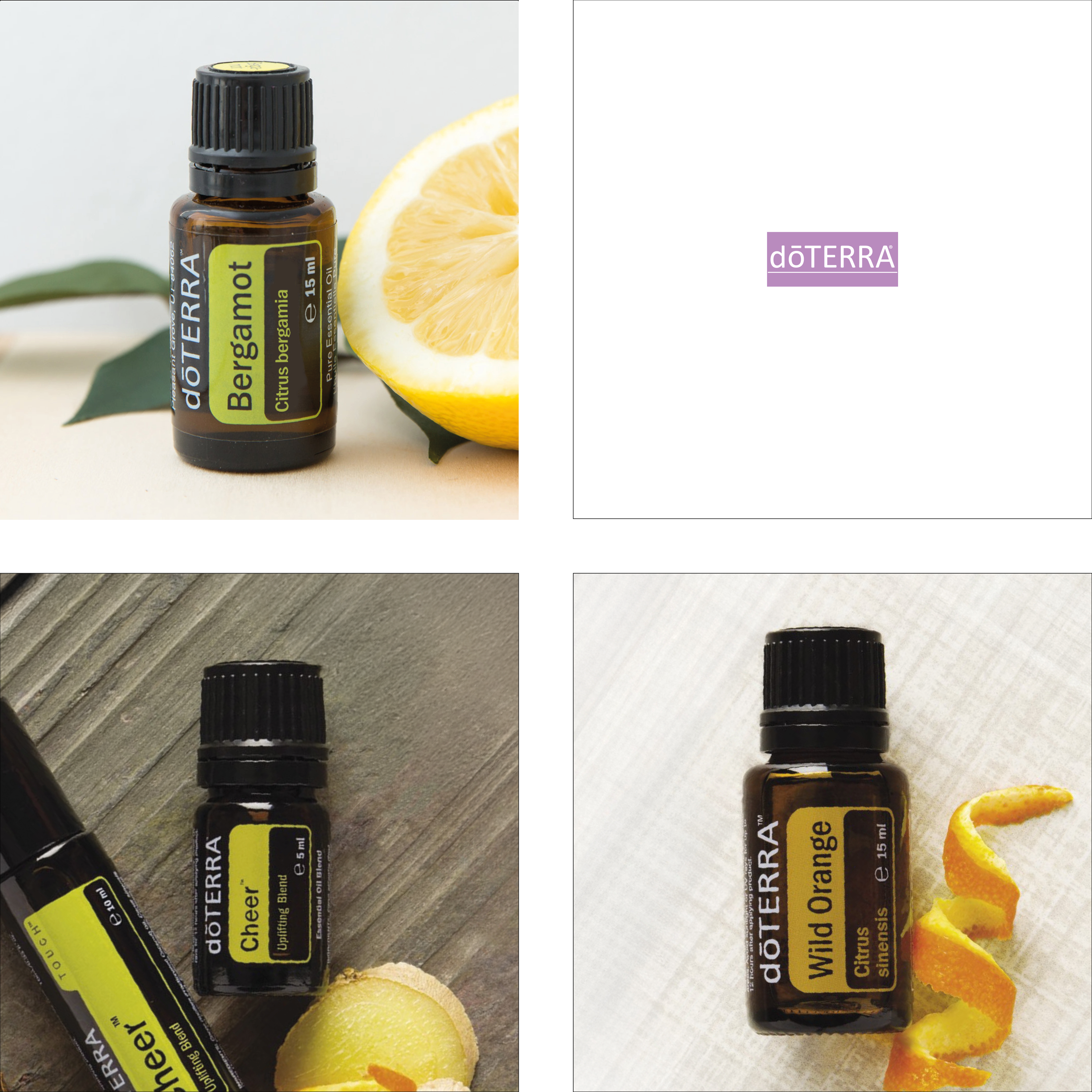 06 RAUHNACHT (29.12.) MUT & SELBSTVERTRAUEN